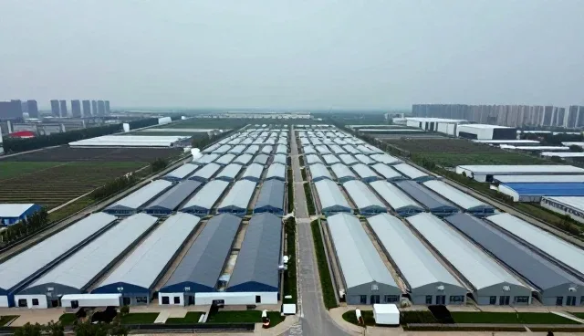 从农业基地看企业管理咨询应用效果